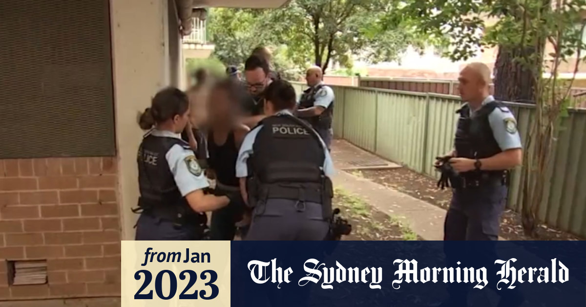 Video Domestic violence crackdown sees hundreds arrested